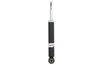 Amortizor Magnum Technology AGB112