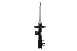 Amortizor Magnum Technology AGF109MT