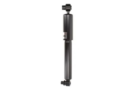 Amortizor Magnum Technology AGR066MT
