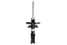 Amortizor Magnum Technology AGR145MT
