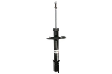 Amortizor Magnum Technology AGR172