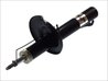 Amortizor Magnum Technology AGS002MT