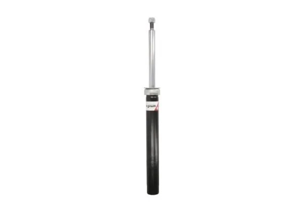 Amortizor Magnum Technology AGW016MT