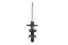 Amortizor Magnum Technology AGW050MT