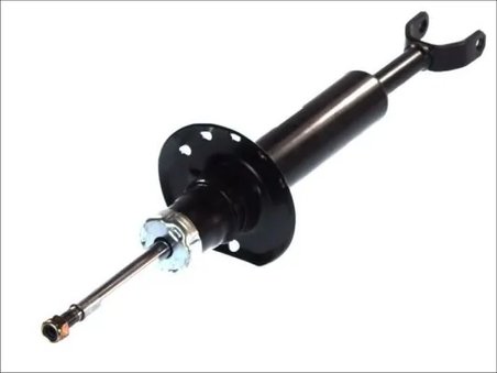 Amortizor Magnum Technology AGW055MT
