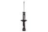 Amortizor Magnum Technology AGW075MT