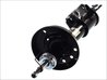 Amortizor Magnum Technology AGX017MT