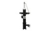 Amortizor Magnum Technology AGX090MT