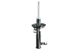 Amortizor Magnum Technology AGX119