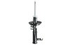 Amortizor Magnum Technology AGX119