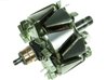 Rotor alternator AS-PL AR5010
