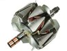 Rotor alternator AS-PL AR6011