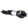 Brat arc pneumatic Arnott AS-2246