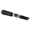 BRAT ARC PNEUMATIC ARNOTT AS-2394 - Compatibil cu MERCEDES-BENZ