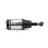BRAT ARC PNEUMATIC ARNOTT AS-2534 - Compatibil cu LAND ROVER