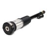 BRAT ARC PNEUMATIC ARNOTT AS-2821 - Compatibil cu MERCEDES-BENZ