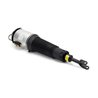 BRAT ARC PNEUMATIC ARNOTT AS-2892 - Compatibil cu BENTLEY, VW