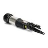 Brat arc pneumatic Arnott AS-3000
