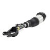 Brat arc pneumatic Arnott AS-3061