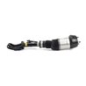 Brat arc pneumatic Arnott AS-3061