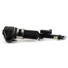 BRAT ARC PNEUMATIC ARNOTT AS-3371 - Compatibil cu ALPINA, BMW