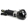 BRAT ARC PNEUMATIC ARNOTT AS-3373 - Compatibil cu ALPINA, BMW