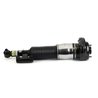 BRAT ARC PNEUMATIC ARNOTT AS-3375 - Compatibil cu ALPINA, BMW