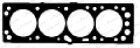 GARNITURA CHIULOASA PAYEN AY220 - Compatibil cu CHEVROLET, IRMSCHER, OPEL, VAUXHALL