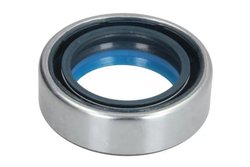 Simering diferential BTA B05-AG-172