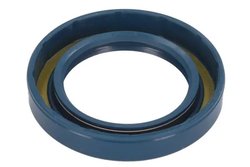 Garnitura, diferential BTA B05-AG-369