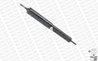 Amortizor Monroe B1310A
