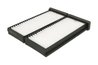 Filtru aer habitaclu JC PREMIUM B45002PR