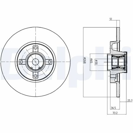 Disc frana Delphi BG9053RSC