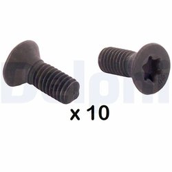 Surub, disc frana Delphi BGK010