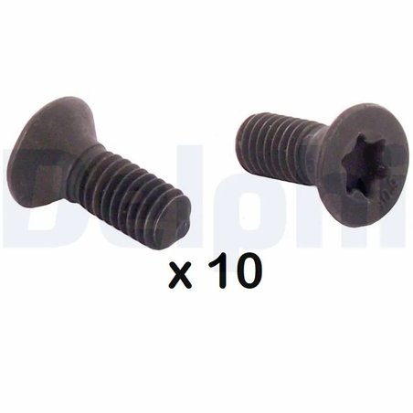 Surub, disc frana Delphi BGK010