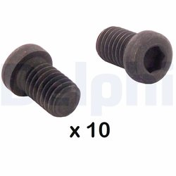 Surub, disc frana Delphi BGK011
