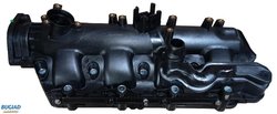 GALERIE ADMISIE, ALIMENTARE CU AER BUGIAD BIM17026 - Compatibil cu OPEL