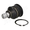 PIVOT JAPANPARTS BJ-106 - Compatibil cu NISSAN