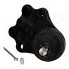 PIVOT JAPANPARTS BJ-234 - Compatibil cu TOYOTA