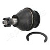 PIVOT JAPANPARTS BJ-247 - Compatibil cu TOYOTA