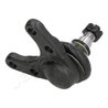 PIVOT JAPANPARTS BJ-328 - Compatibil cu FORD, MAZDA