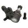 PIVOT JAPANPARTS BJ-410 - Compatibil cu HONDA