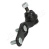 PIVOT JAPANPARTS BJ-429R - Compatibil cu HONDA