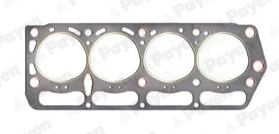 GARNITURA CHIULOASA PAYEN BL820 - Compatibil cu DAIHATSU, TOYOTA