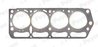 GARNITURA CHIULOASA PAYEN BL820 - Compatibil cu DAIHATSU, TOYOTA