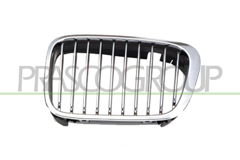 Grila radiator Prasco BM0182004