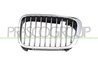 Grila radiator Prasco BM0182004