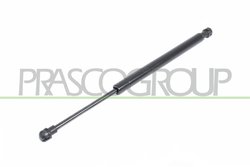 Amortizor portbagaj Prasco BM0189055