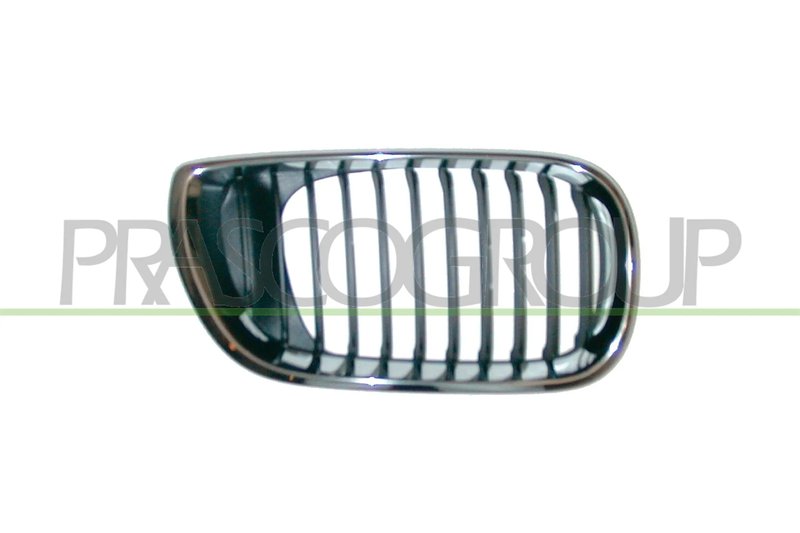 Grila radiator Prasco BM0202003