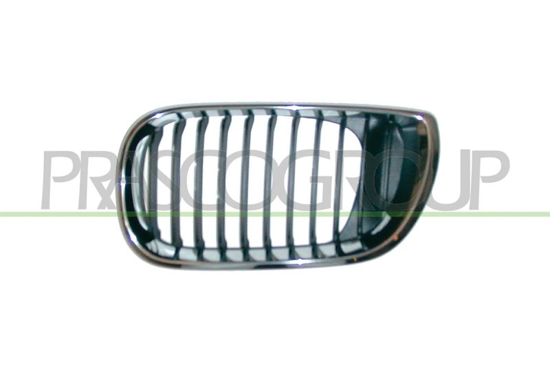 Grila radiator Prasco BM0202004